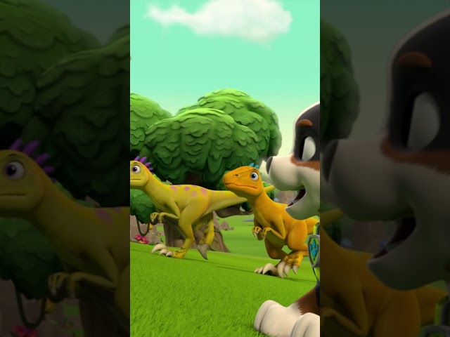 Rex macht bei der PAW Patrol mit, um Dinos zu retten! - #PAWPatrol #Shorts Germany