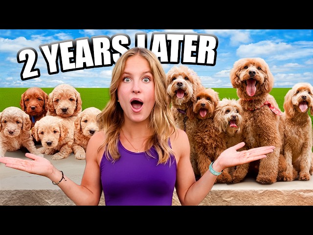 Puppies are Reunited after 2 Years! Will they remember?