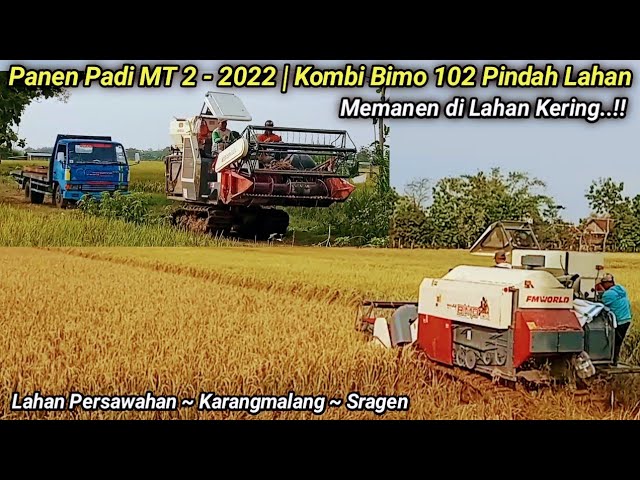 Panen Padi MT 2 ~ 2022 || Kombi Bimo pindah lahan memanen di lahan kering "By Mas Sempuk