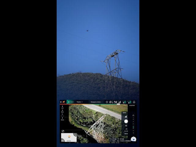 Drone Inspection finds bird nest on tower