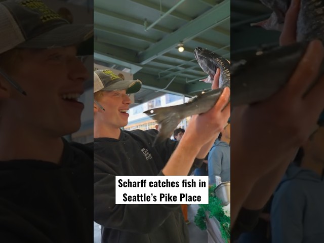 Good Good catching fish in Seattle!