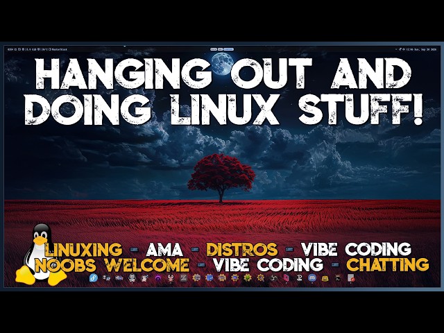 Coding with pure unadulterated vibes | Chill Linux Stream | Noobs welcome!