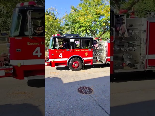 Running in Chicago #zoo #polarbear #firetruck