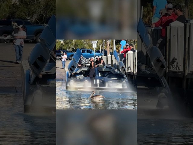 Pelicans vs. This DEAFENING Powerboat 🔊 #bighorsepower #boatlife #enginesound #loudexhaust