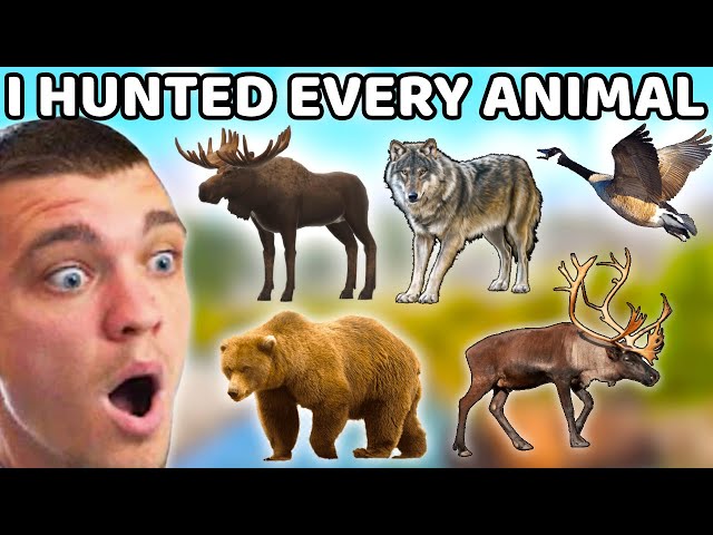 I Hunted Every Animal in the Yukon Valley!