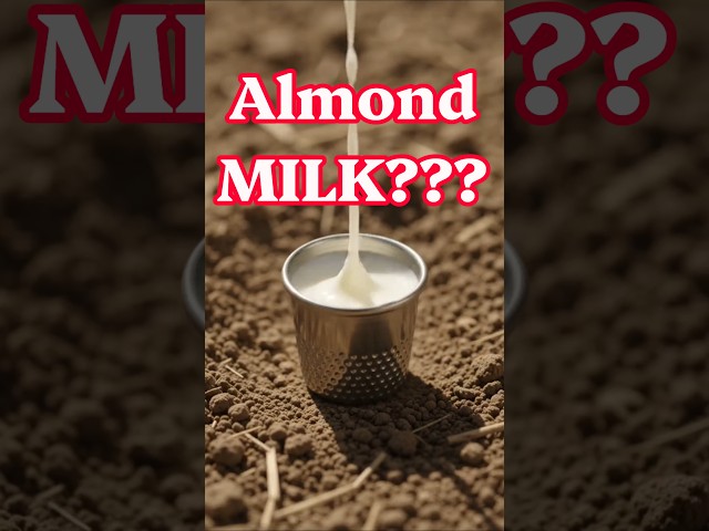 Where Does Almond Milk Come From??? #viral #funny #shortsfeed