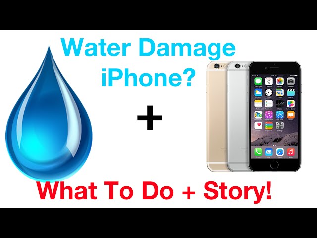 Dropped iPhone 6 in Water? | What To Do + Story