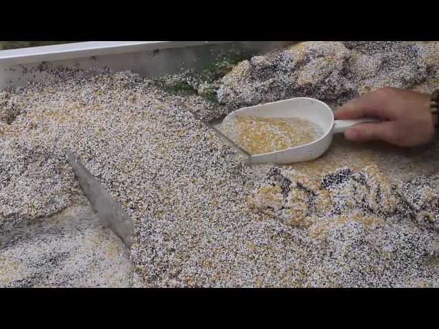Unintended effects of dredging