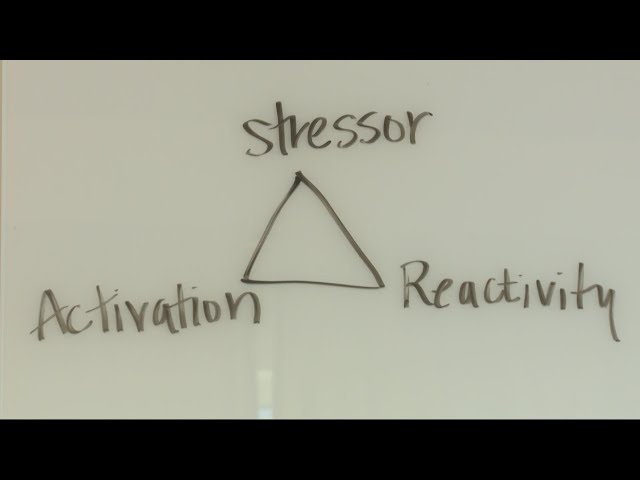 Mindfulness-based stress reduction techniques are making a major impact