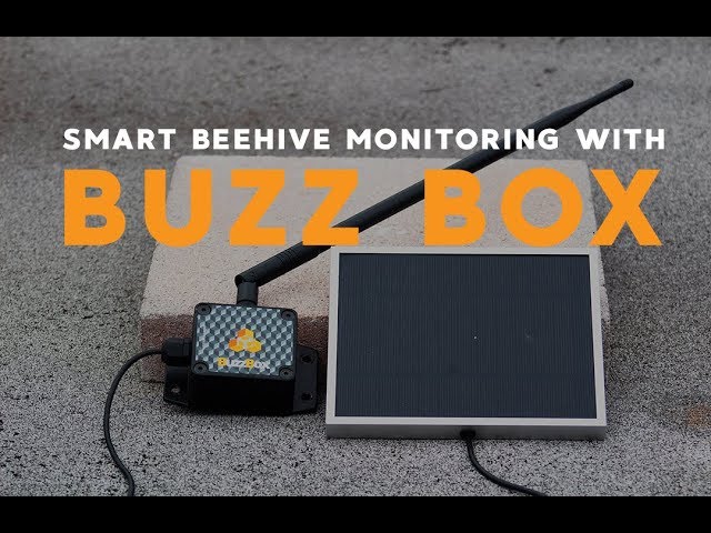 Smart Hive Monitoring is Here! Check out BuzzBox!