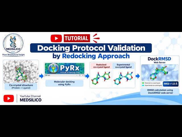 Docking Protocol Validation by Redocking Approach | PyRx I DockRMSD Web Server | Tutorial I