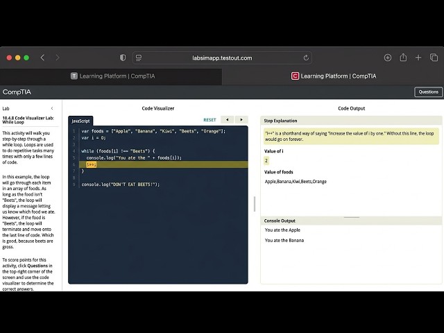 CompTIA | LAB 10.4.8 Code Visualizer :While Loop |IT Fundamentals