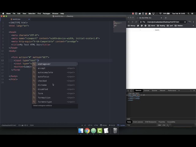 Full Stack Web Developer Course: 1_13 - Practice with Input Tags