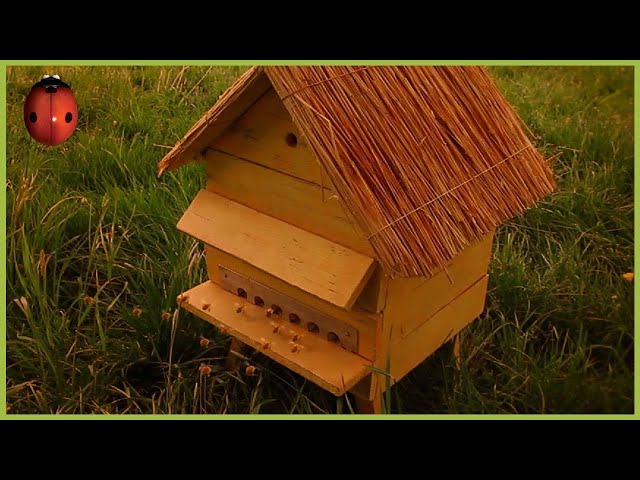 Honey Fly | Minuscule | S02E08