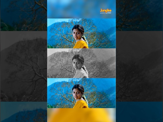 #MynaaMynaa - 8K Video Song | Mynaa | D.Imman | Vidharth | Amala Paul | Prabhu Solomon | #ytshorts