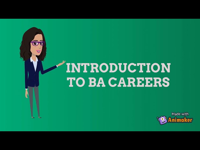 INTRODUCTION TO BA CAREERS, Business Analysis for Beginners