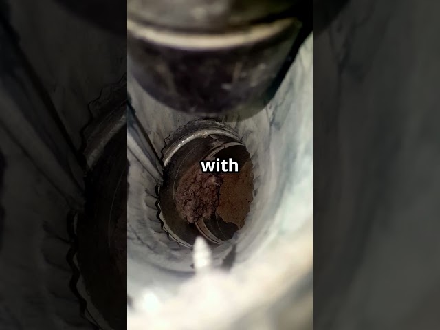 Why Is My Dryer Not Drying? Don’t Call a Tech Before Watching This #homerepair #dryers