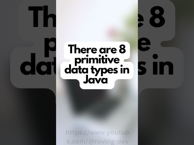 JAVA Jargons primitive data type #shorts