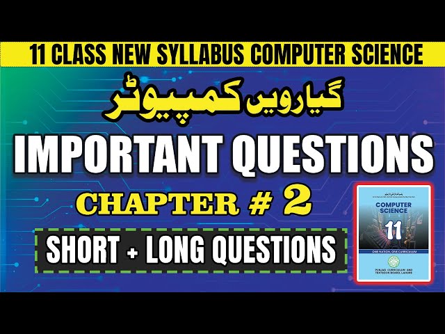 class 11 | chapter 2 Python Programming | Important short and long questions | Computer Science