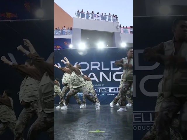 BamBoo brings a playful twist to the rhythm 🎋🔥 #dance #ytshorts #worldofdance
