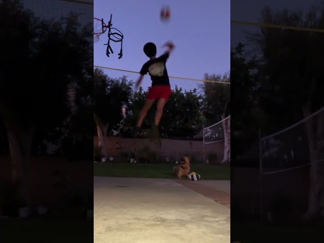 bounce n short vb net #volleyball ll