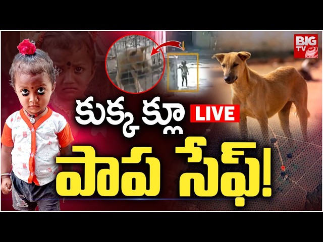 అడవిలో పాప అరుపులు ! LIVE | Kakinada Jahnavi Missing Updates | Kakinada 3 Year Girl  | BIG TV