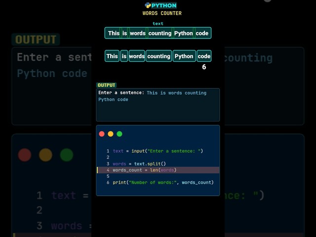 Python Can Count Your Words! 🤯📝 #pythonforbeginners #pythontutorial #pythonbasics