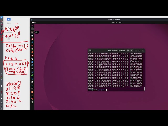 Learn reverse engineering