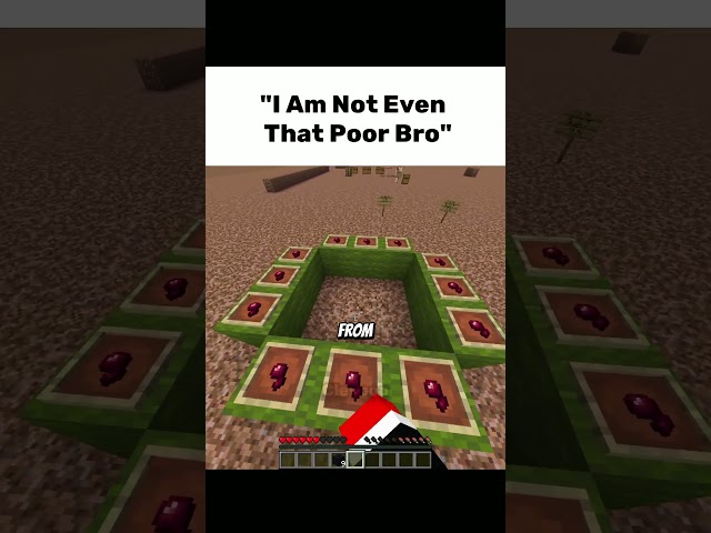 "I Am Not Even That Poor Bro"