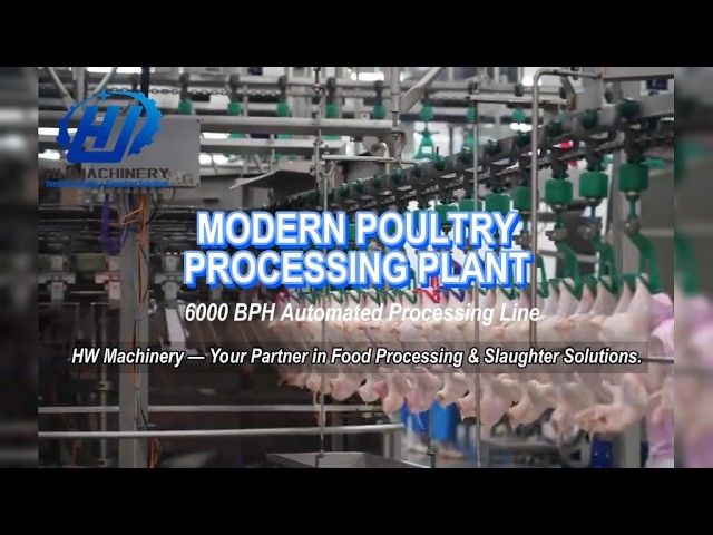 Modern 6000 BPH Poultry Processing Line | Automated Chicken Processing Plant
