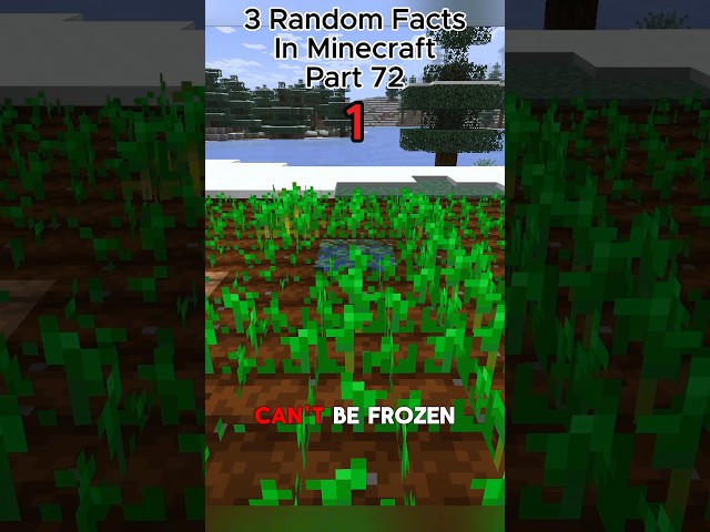 3 Random Facts In Minecraft Part 72