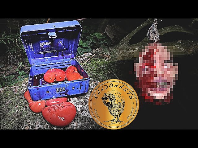MOST TERRIFYING RANDONAUTICA EXPERIENCE - FOUND A HUMAN HEAD !! (WARNING)