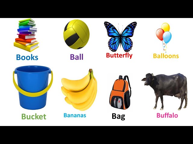 Words that start with letter B/ beginning letter with B, some words with picture/ B se shuru hone