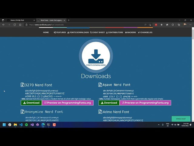 Getting Started with oh-my-posh in PowerShell and Windows Terminal