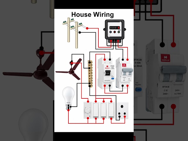 Complete House Wiring Diagram | Meter to MCB to Switch Board | Easy Electrical Tutorial #electrical