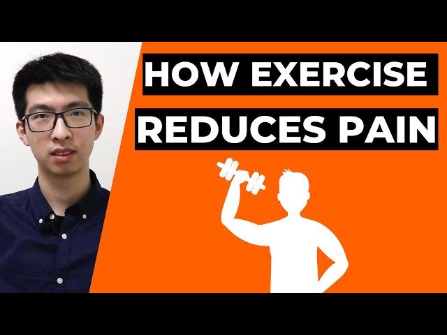 Isometric Contraction: How Isometric Exercises Reduce Pain