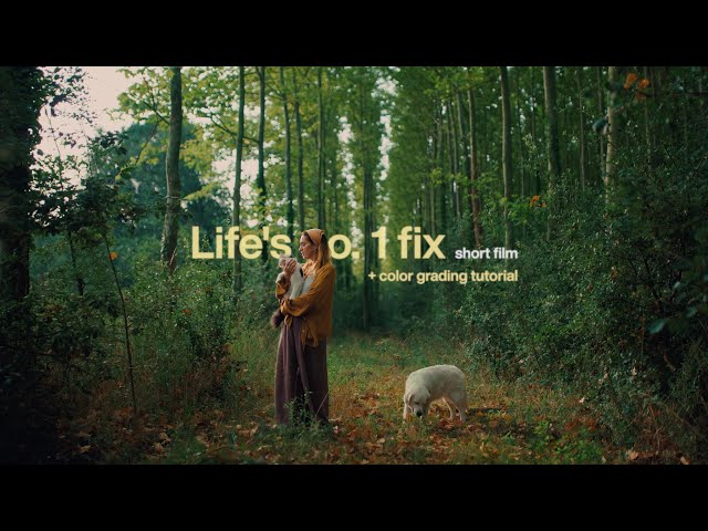 Life's no. 1 fix | Short film + grading tutorial & free Film Profile