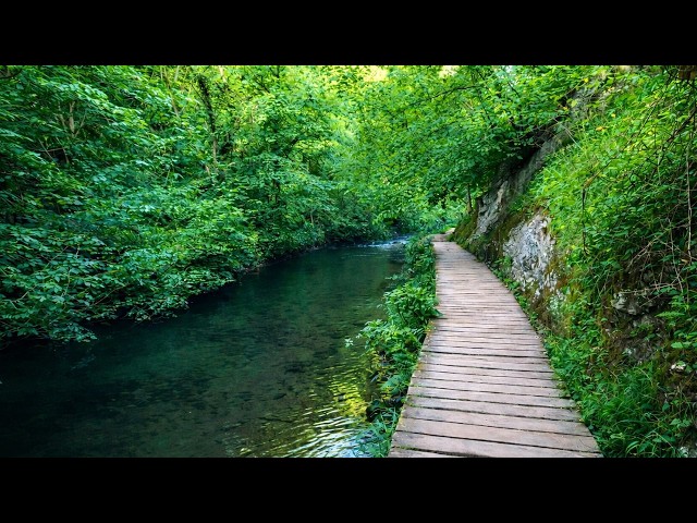 One of the Best Walks in Britain | Walking Dovedale to Milldale