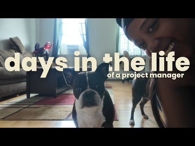 days in the life of a project manager in nyc | Q3 wrap up part 1