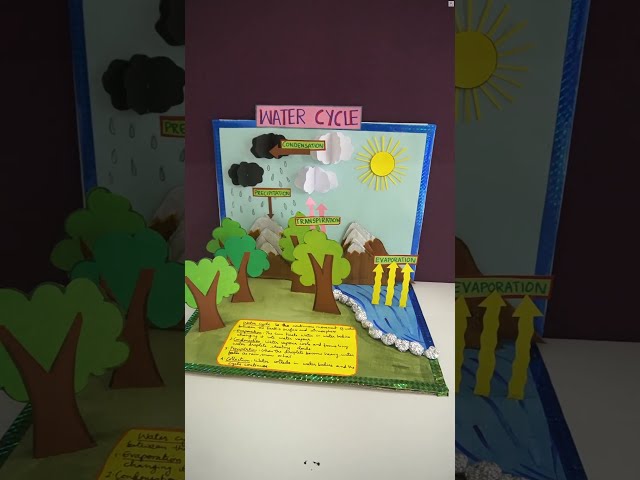 Build a 3D Water Cycle Model: Step-by-Step School Project | Water Cycle Exhibition Model for School