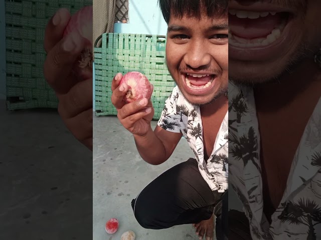 टमाटर आलू प्याज़ तीनों को फ्रिज अंदर करने पर क्या हुआ(Tomato Potato Onion Experiment🥶#viral#minivlog