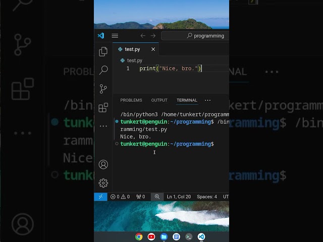 python on a chromebook #chromebook #python #pythonprogramming #programming #shorts