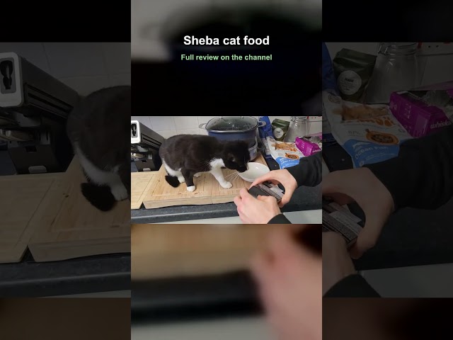 Sheba cat food - Luxury cat soup which tastes amazing