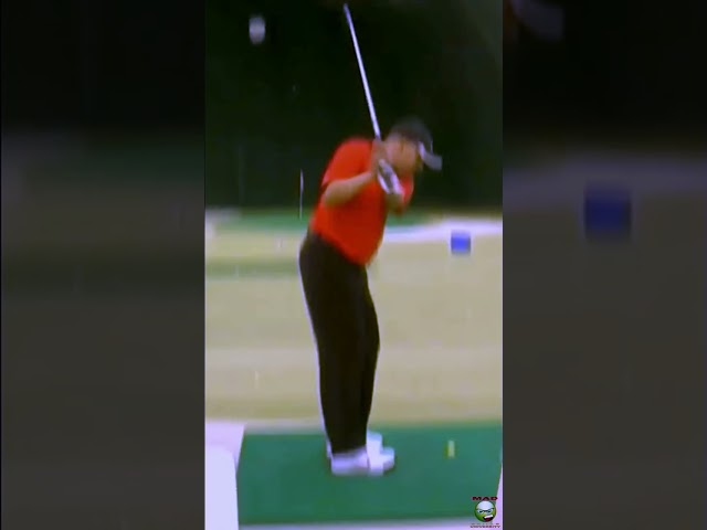 Try These 3 Golf Swing Tempos for Better Results. Mind & Muscle Kill Your Game. #golftips #madlife