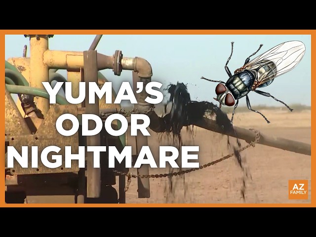 What Arizona’s AgTech lease cancellation means for Yuma’s fly problem