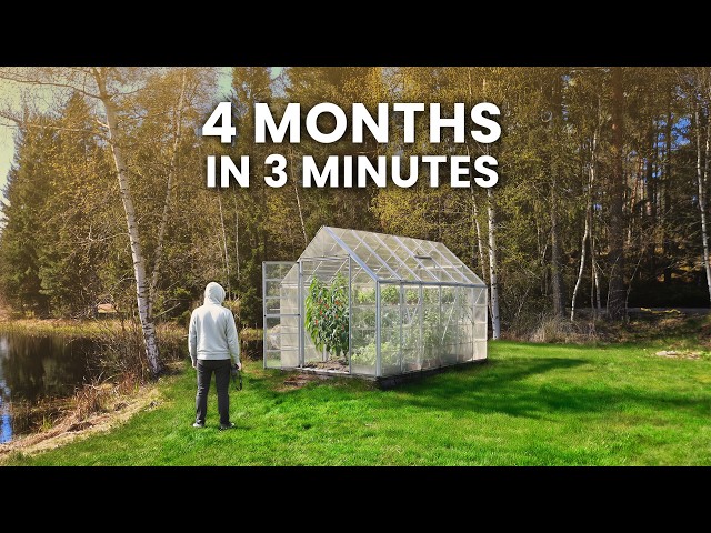 I Filmed My Greenhouse For 4 Months │ Time-lapse