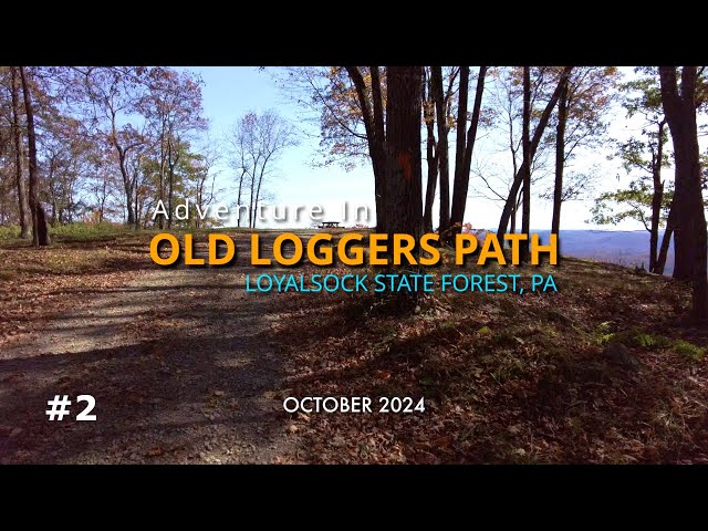 Day 2 - The Old Loggers Path - Loyalsock State Forest - PA