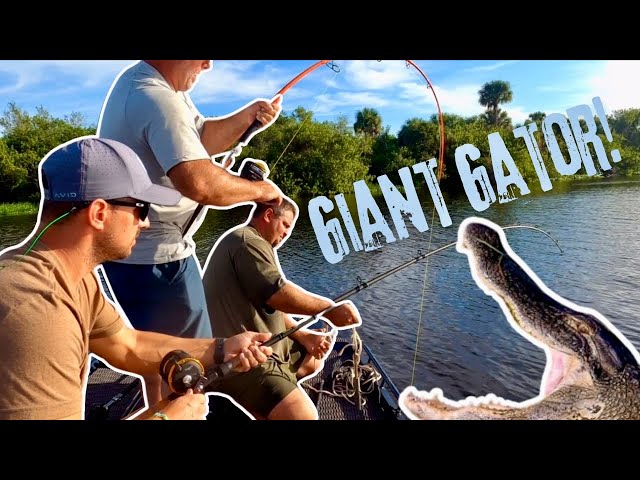 WE CAUGHT A GIANT GATOR On PUBLIC LAND In FLORIDA! | River Monster | HUGE ALLIGATOR