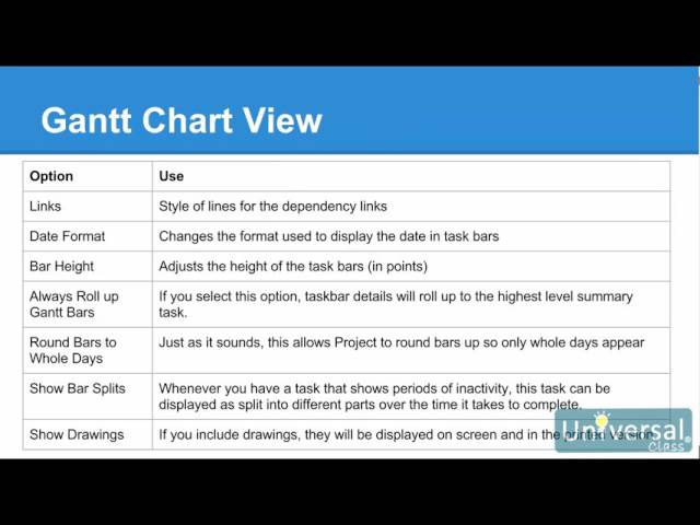 Lesson 15: Customizing and Formatting Your Project - Microsoft Project 2016 Course | Universal Class