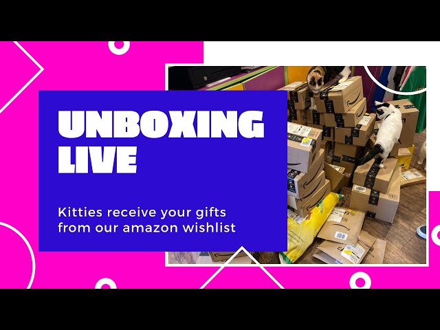 Cats unboxing LIVE  Kitty Cafe UK - Cat Rescue and Cat Cafe